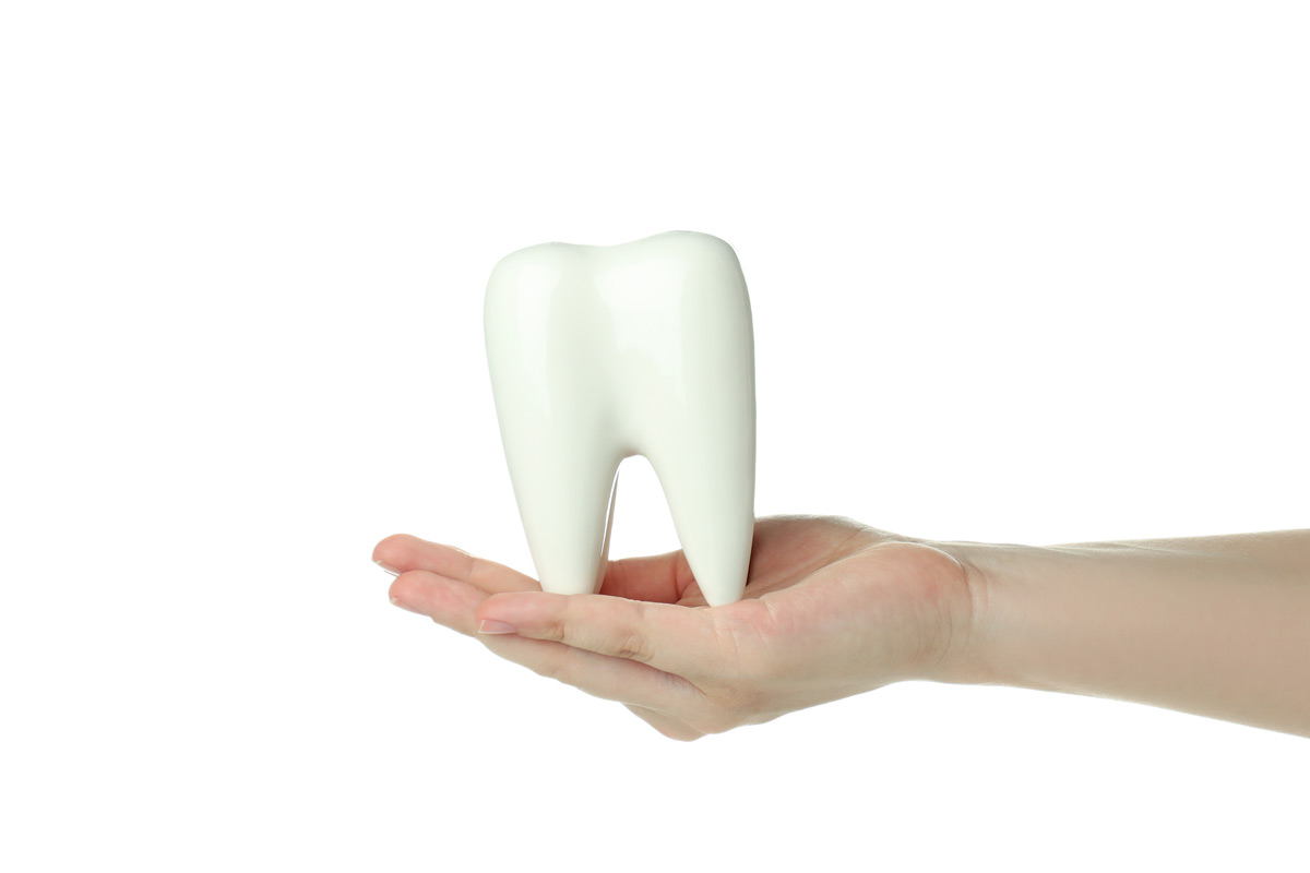 Have Stronger Teeth in the Best Dental Clinic in Summerhill, Toronto
