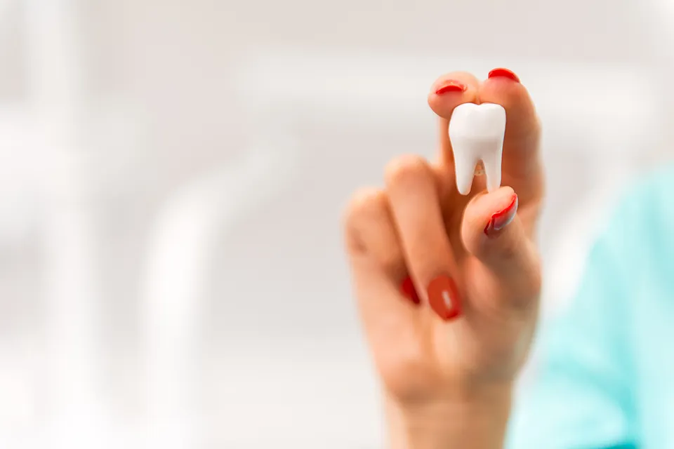 Soft Foods to Eat After Tooth Extraction