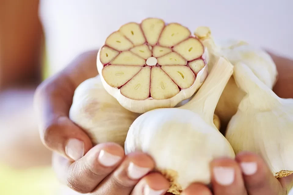 Home Remedy for Toothache in Summerhill, Toronto