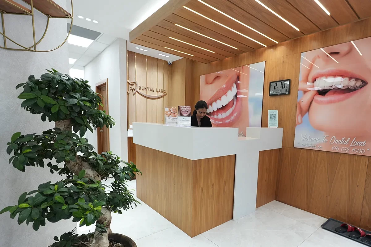 Dental Land Dental Land