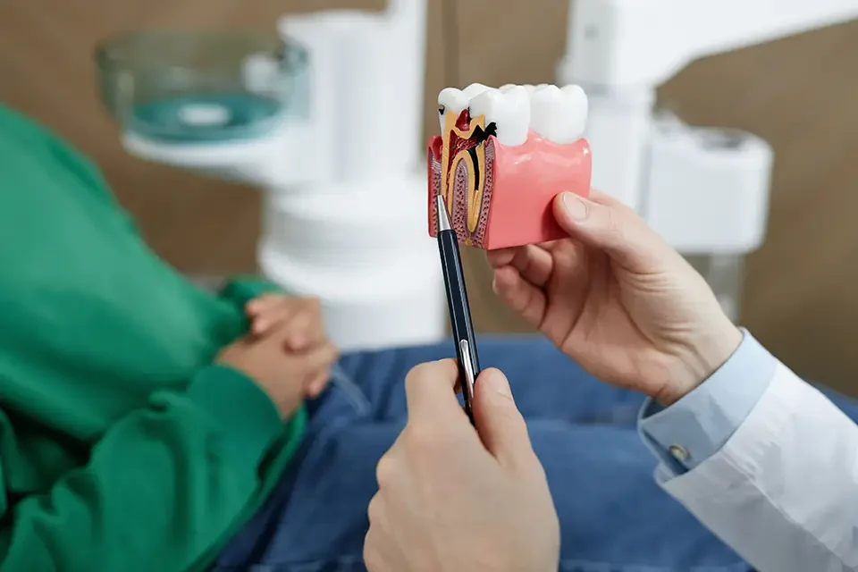 close-up-of-unrecognizable-dentist-pointing Apicoectomy vs Root Canal: The Key Differences in Procedure