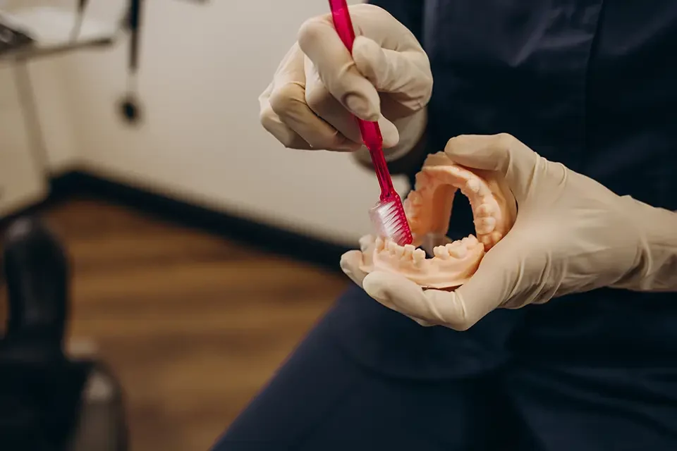 dentures Typical Denture Treatment Costs